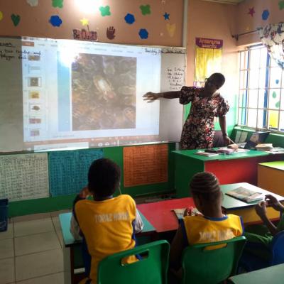 8a774086 0cd2 4ab7 Aed5 C0f07cceb9e1